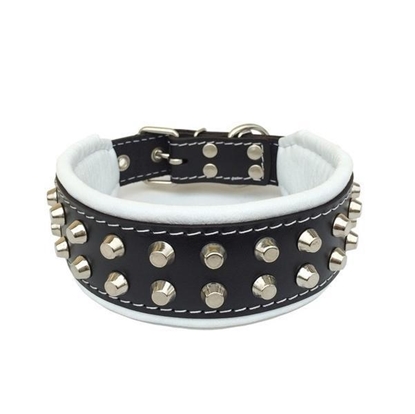 Picture of Bestia Rocky Dog Collar